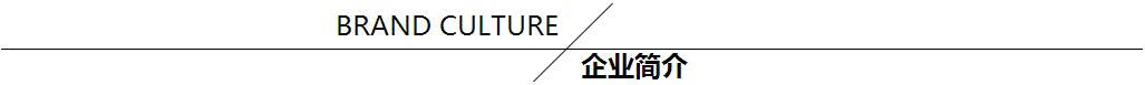 企業(yè)簡介